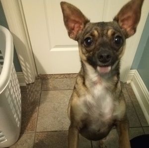 Meet your Posher, Sharon